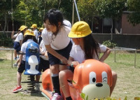 DSC04952