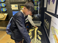 IMG_8130