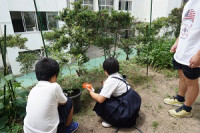 DSC00325