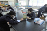 地層を見よう（6年生１１月４日