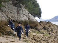春の磯（４年３月６日